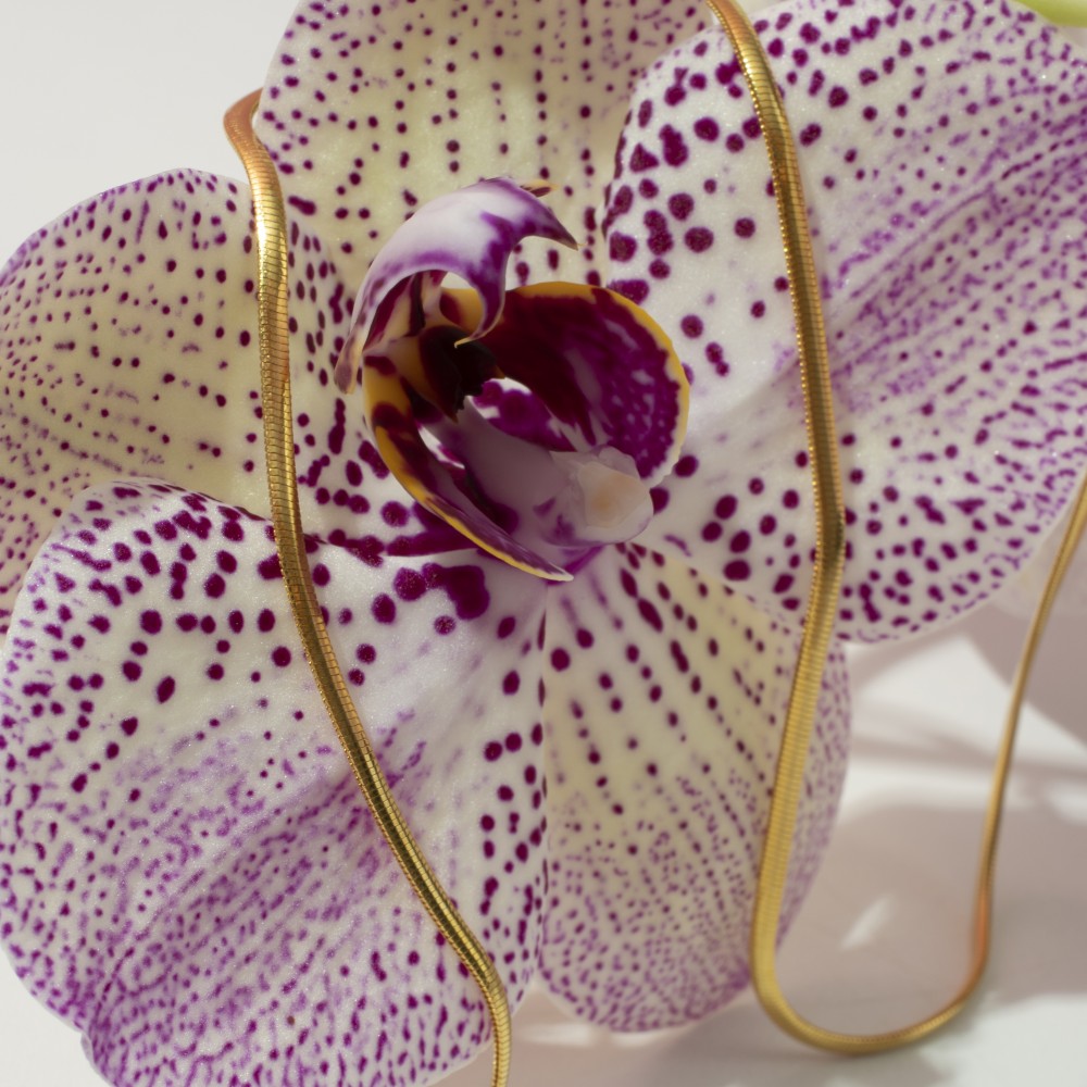 Парфюмна лукс композиция Flower & Honey за козметика и свещи 50 мл.