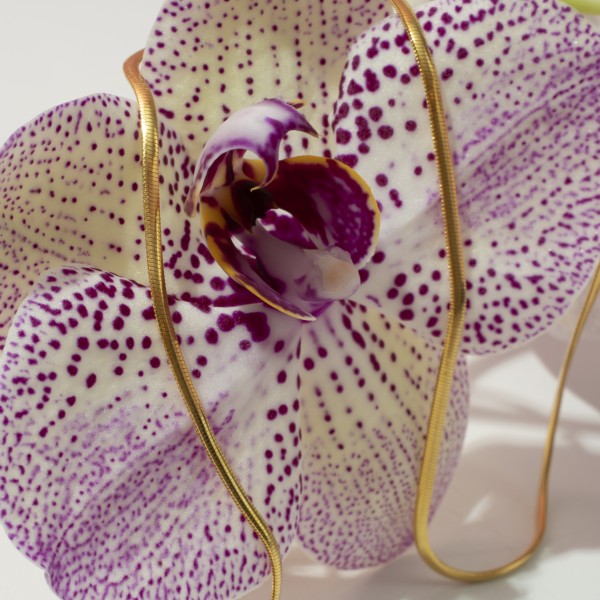 Парфюмна лукс композиция Flower & Honey за козметика и свещи 100 мл.