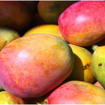 Парфюмна лукс композиция Mango за козметика и свещи 10 ml