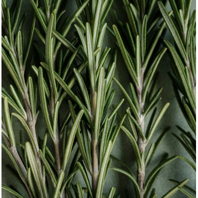 Парфюмна лукс композиция Розмарин за козметика и свещи 50 ml