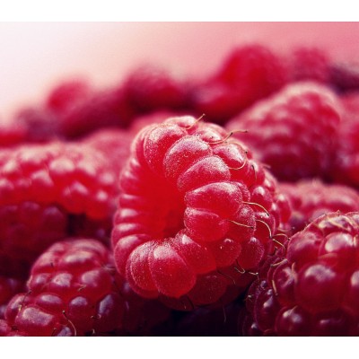 Масло от малинови семки 20 ml