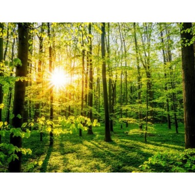 Парфюмна лукс композиция Sydney за козметика и свещи 10 мл.