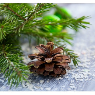 Парфюмна лукс композиция DRY & OUD за козметика и свещи 10 мл.