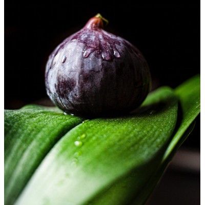 Парфюмна лукс композиция Fig Leaf за козметика и свещи 50 мл.