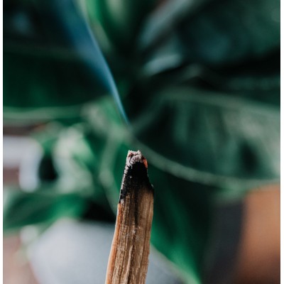 Парфюмна лукс композиция Palo Santo за козметика и свещи 10 мл.