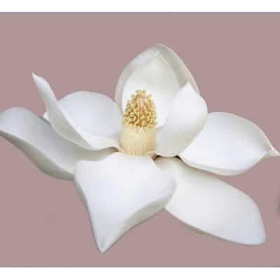 Парфюмна лукс композиция NEROLI за козметика и свещи 10 мл.